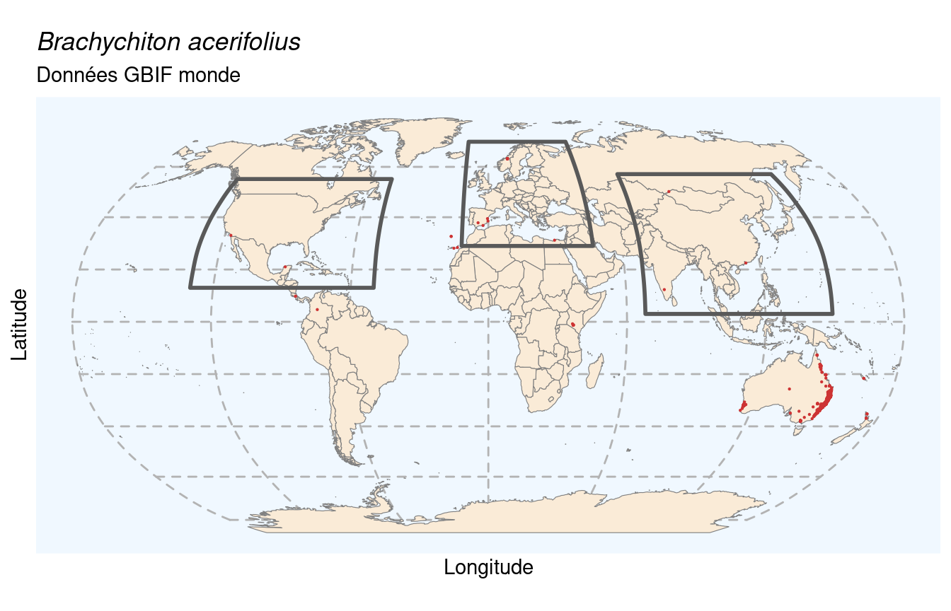 Occurrences de Brachychiton acerifolius dans le monde.