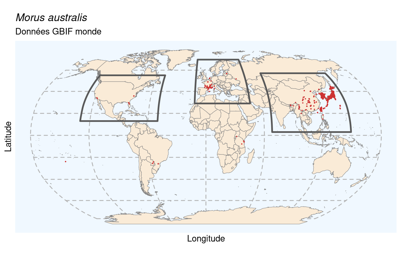 Occurrences de Morus australis dans le monde.
