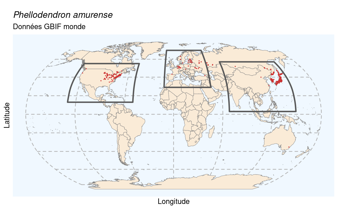 Occurrences de Phellodendron amurense dans le monde.